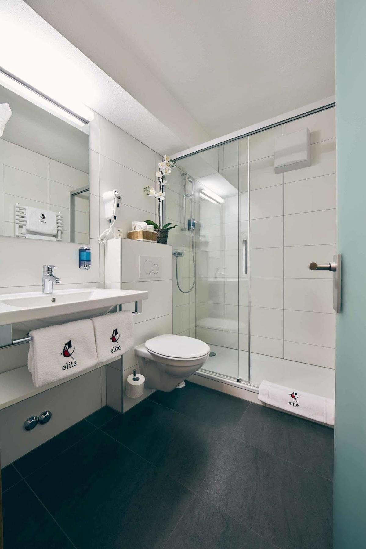 Hotel Elite à Viège Extérieur photo